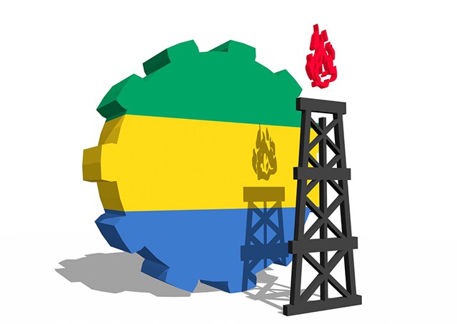 Gabon/Référendum: publication du projet de la nouvelle Constitution