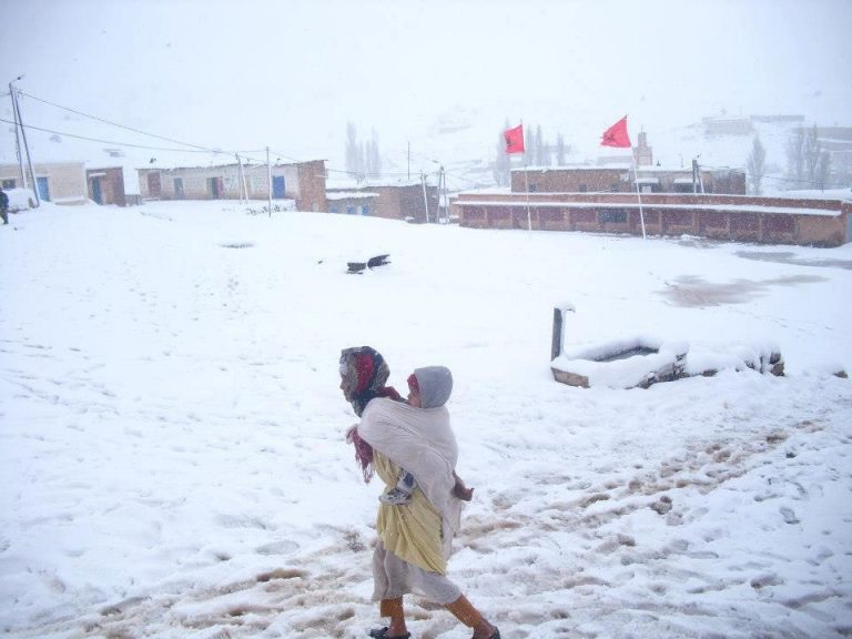 MÉTÉO: LA DERNIÈRE GELÉE ?