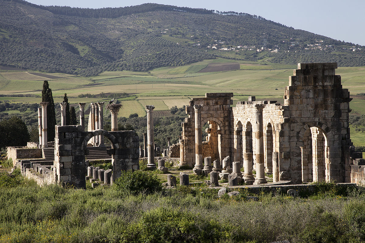 Meknès : Large opération de réhabilitation du site archéologique de Volubilis