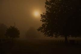 MÉTÉO : FORMATIONS BRUMEUSES ET NUAGES BAS 1 MÉTÉO : FORMATIONS BRUMEUSES ET NUAGES BAS