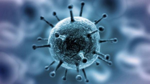 Le coronavirus est désormais une "pandémie", déclare l'OMS