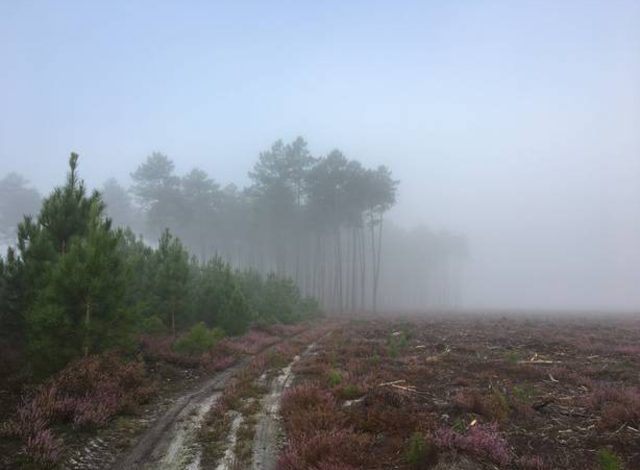 MÉTÉO: QUAND LA BRUME ET LE BROUILLARD REMPLACENT LA PLUIE ET LES CHUTES DE NEIGE 1 MÉTÉO: QUAND LA BRUME ET LE BROUILLARD REMPLACENT LA PLUIE ET LES CHUTES DE NEIGE
