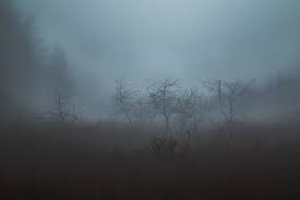 MÉTÉO : LA BRUME 1 MÉTÉO : LA BRUME