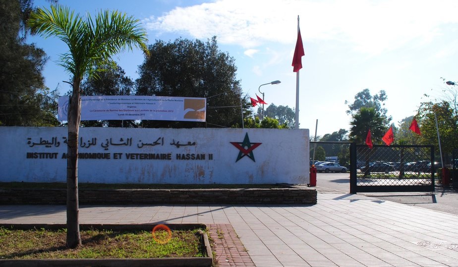 Rabat : Réception en l’honneur d’étudiants palestiniens à l’IAV Hassan II