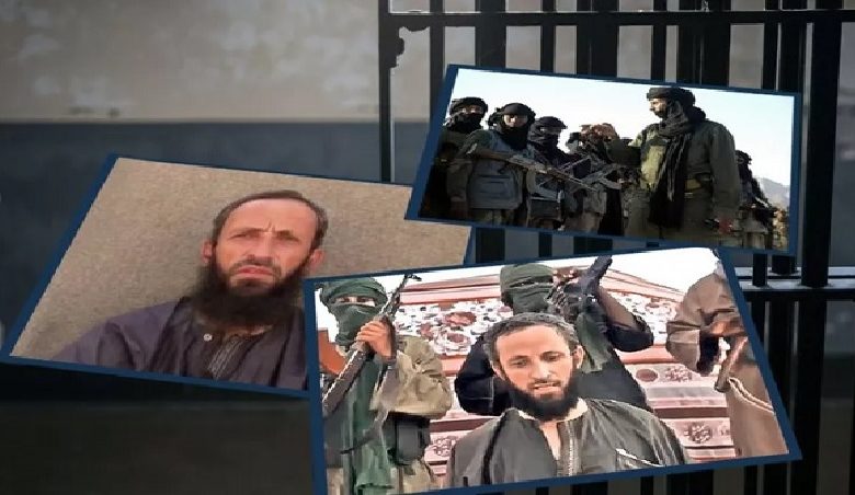 Libération d'un otage roumain au Sahel : Bucarest remercie Rabat pour son aide 1 Libération d'un otage roumain au Sahel : Bucarest remercie Rabat pour son aide