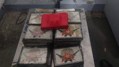 Exclusif : 27 kilos de cocaïne ont été saisis à bord d'un conteneur à Tanger Med