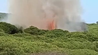 Un incendie massif dans la forêt de « Laibika » mobilise les autorités de Larache