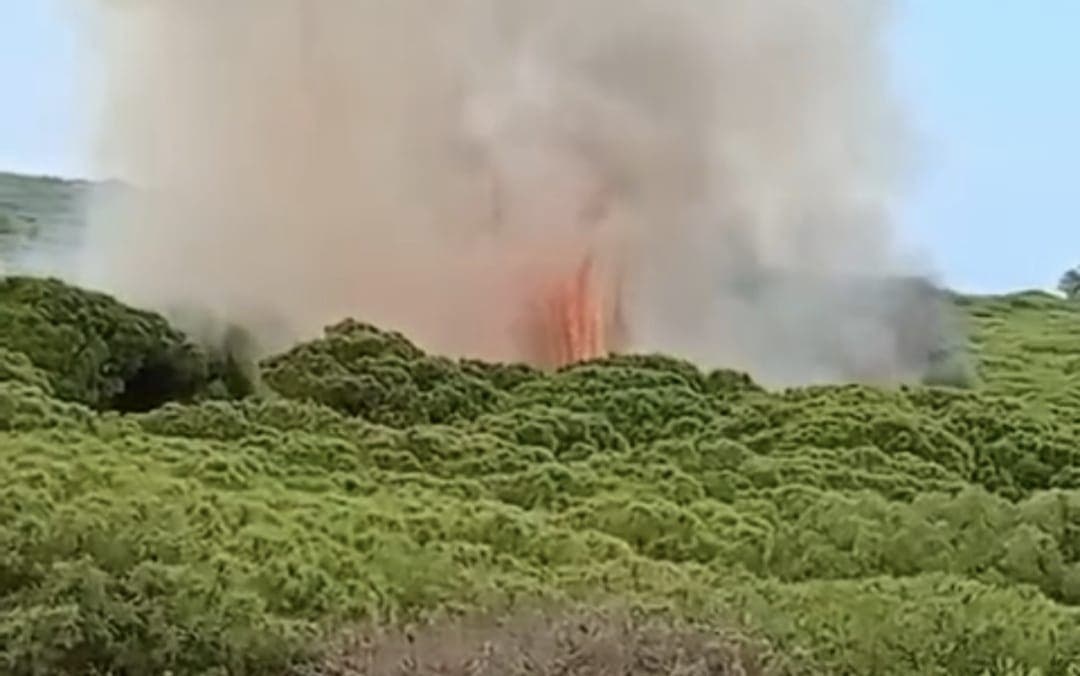 Un incendie massif dans la forêt de « Laibika » mobilise les autorités de Larache