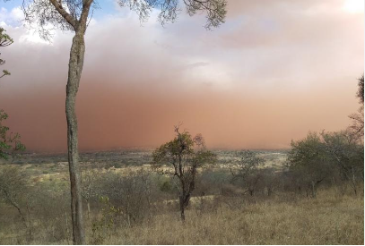 OMM: Les tempêtes de sable et de poussière et leurs répercussions sur l’environnement, l’économie et la santé