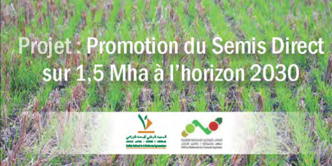 MAPMDR/ Programme national de développement du semis direct:  Deux programmes structurants