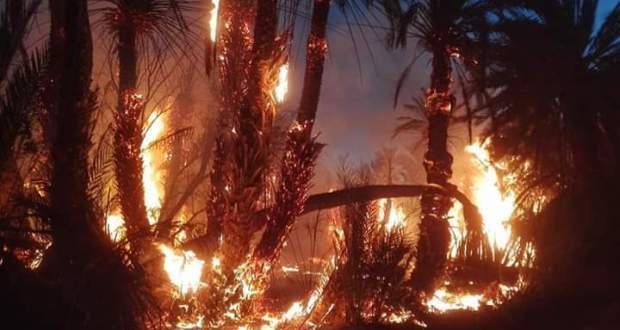 Le Parlement demande des mesures urgentes pour sauver les oasis des incendies et de la sécheresse