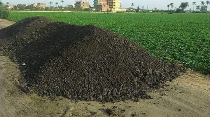 Les espaces verts de Berrechid ont recours à la fertilisation des sols avec des déchets de volailles, provoquant la colère des habitants