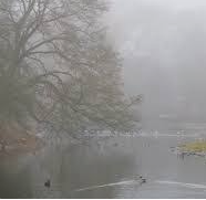 Météo: brume et averses éparses