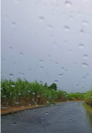 Météo: bruine et ondées