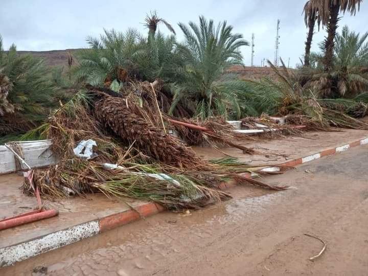 Le chef de la communauté Tamanart Batata rassure les Marocains : « Il n’y a aucun décès dans la communauté ».