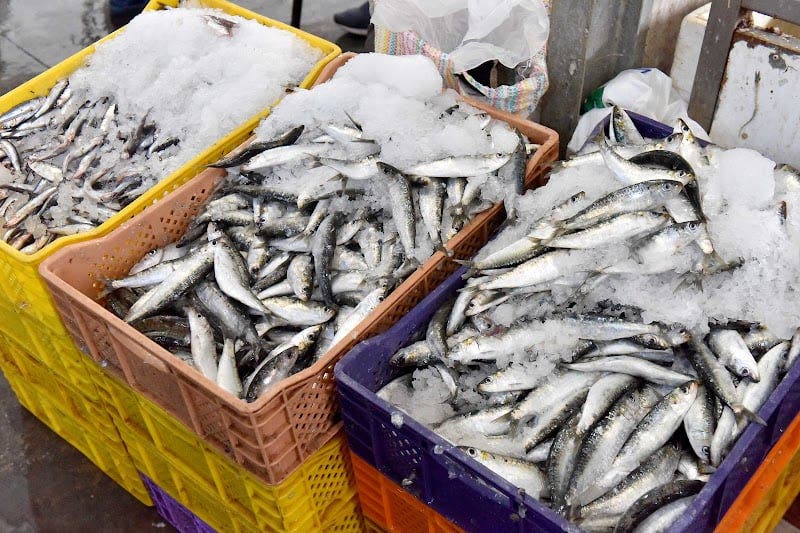 Après avoir dépassé les 40 dirhams le kilo en été, le prix des sardines baisse progressivement