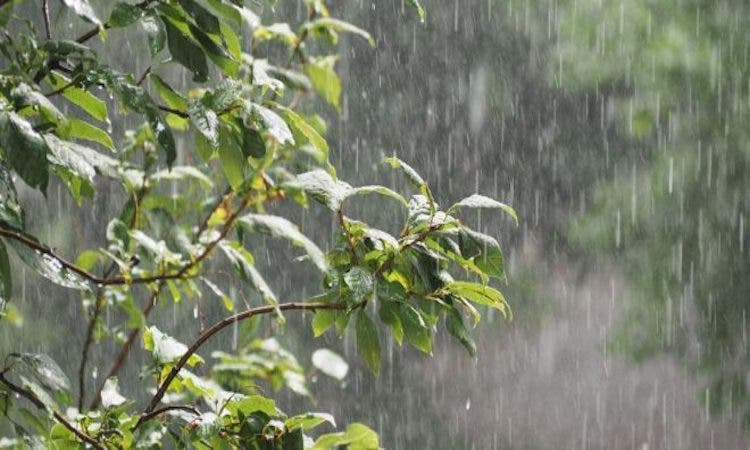 Météo de mercredi : des averses de pluie attendues sur ces zones