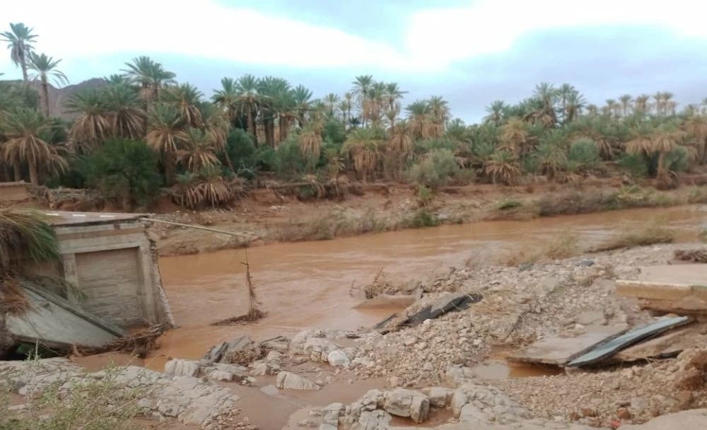 Détails des pertes causées par les inondations dans le secteur agricole du sud-est