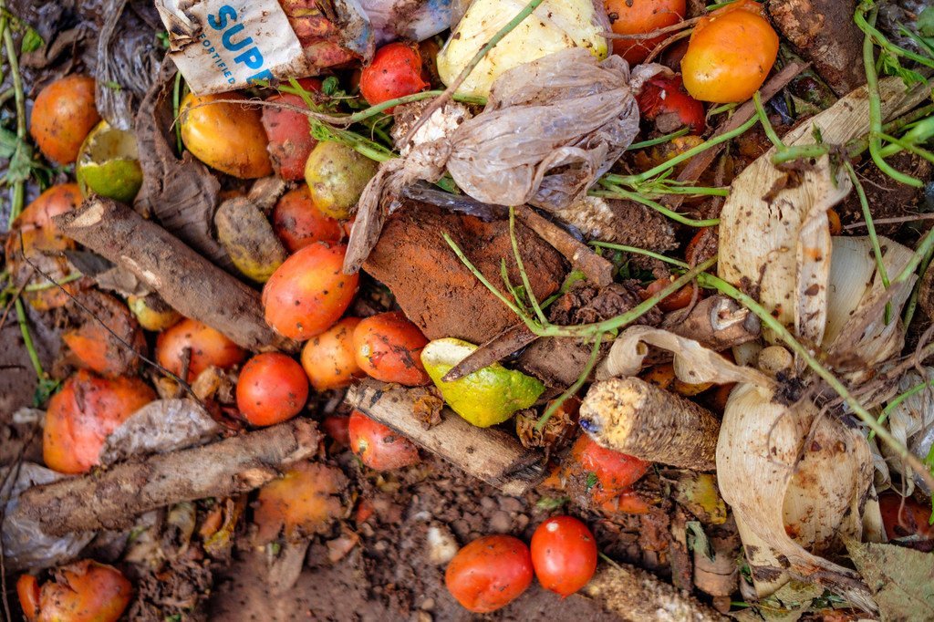 Le gaspillage alimentaire est une tragédie mondiale