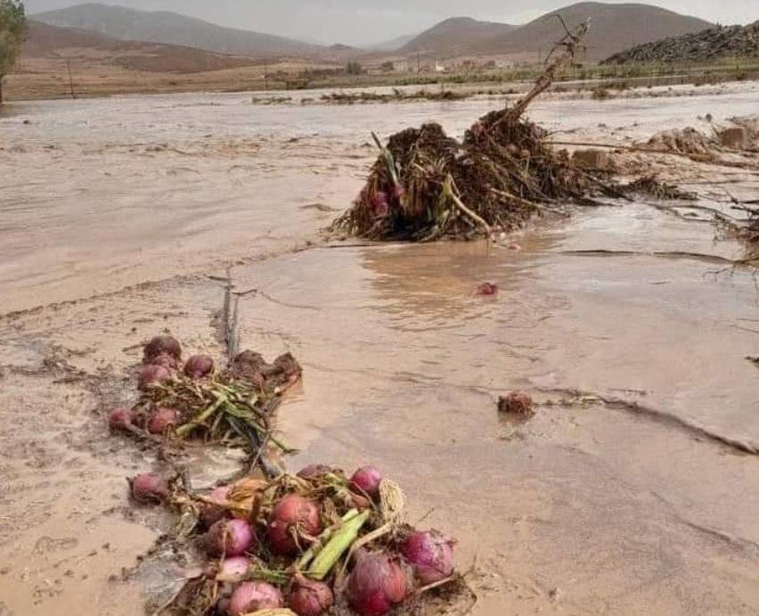 Les orages et les inondations détruisent les cultures agricoles et bloquent les routes à Pullman