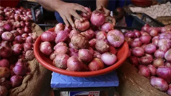 Malgré la reprise des exportations, le prix des oignons est tombé à environ 50 centimes le kilogramme sur le marché de gros.