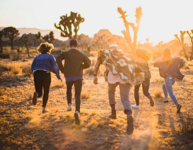 Aujourd’hui, journée mondiale des jeunes: Les jeunes en chiffres