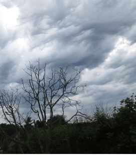 Météo: Températures en baisse