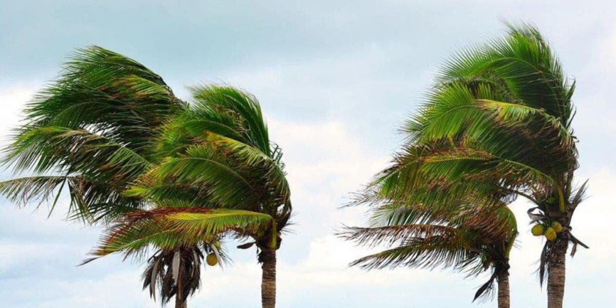 Bulletin d’alerte : Fortes averses de pluie dans plusieurs régions du Royaume