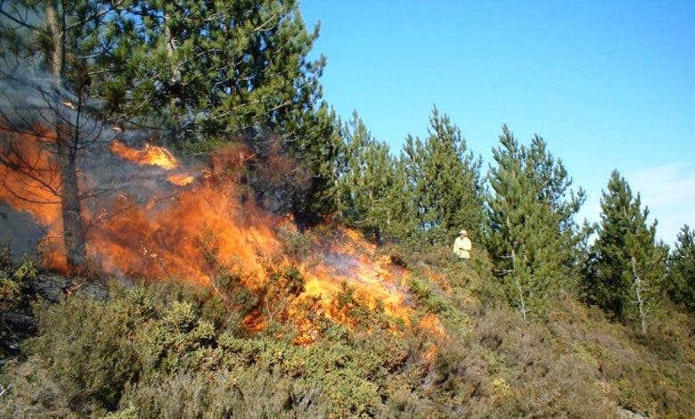 Des « incendies » ravagent un champ forestier à la périphérie de Foam el-Armen à Beni Mellal