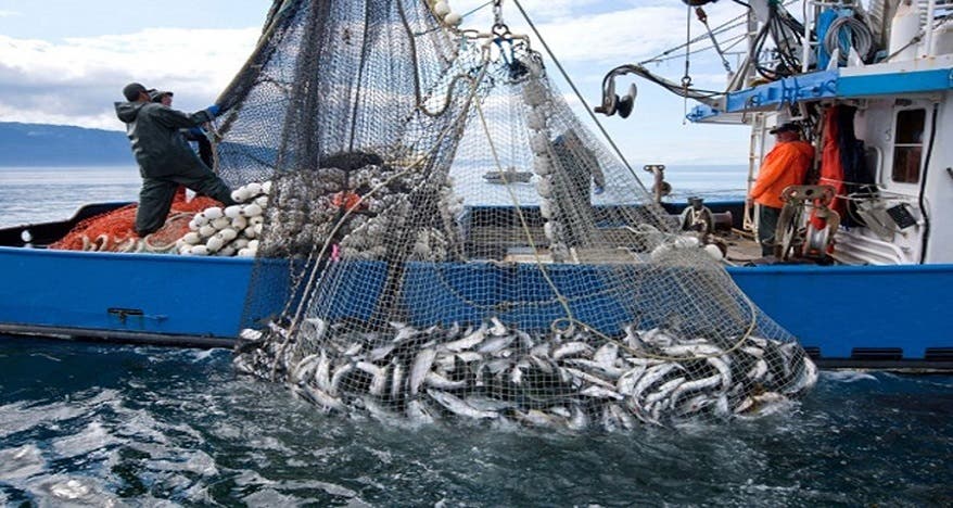 En chiffres : les rejets de la pêche maritime dans les ports méditerranéens s’élèvent à plus de 12 mille tonnes