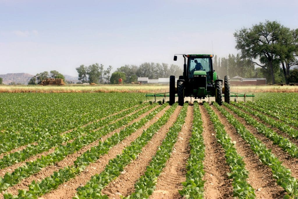 FAO : « Le Maroc déploie de gros efforts pour améliorer la sécurité alimentaire et développer l’agriculture »