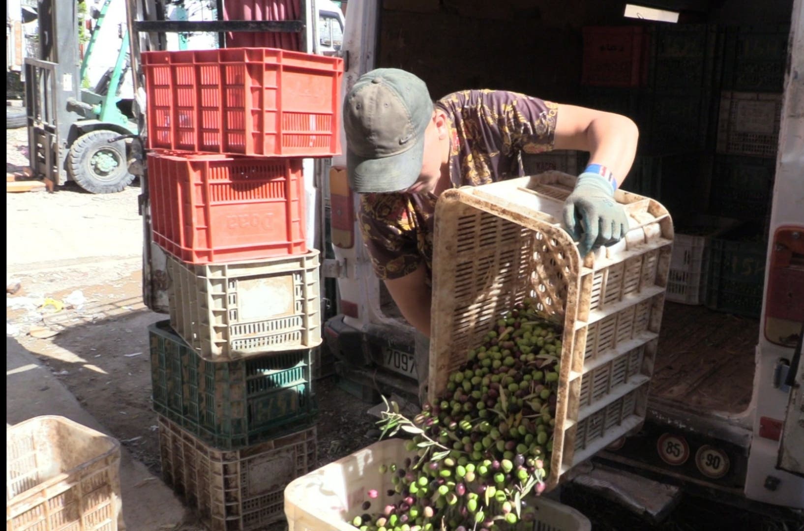 Garsif.. Les transactions olive se chiffrent en milliards, et les commerçants se plaignent de l’absence de marché privé (vidéo)