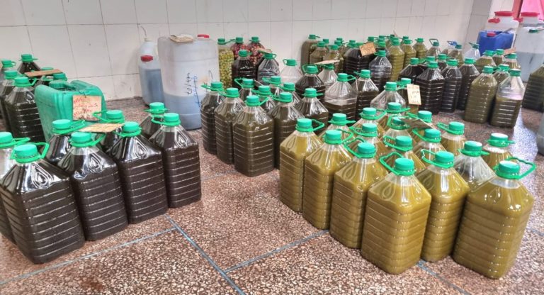 Guercif..le prix du litre d'huile d'olive maintient les prix de l'année dernière (vidéo)