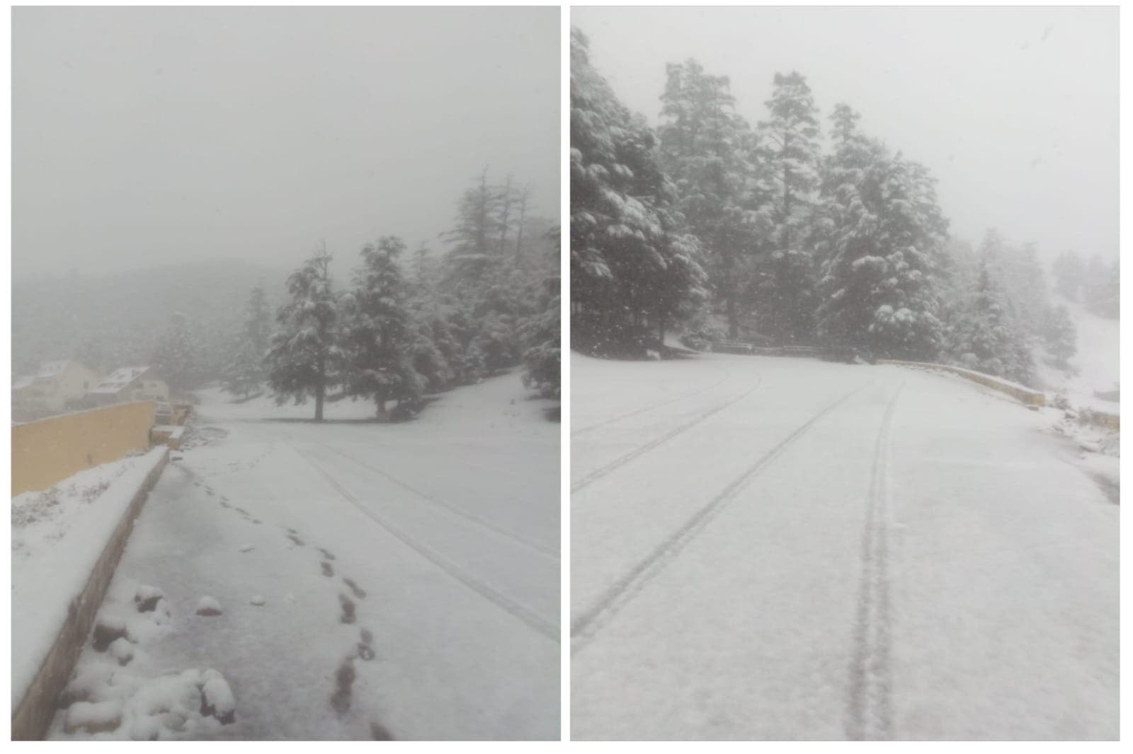 Ifrane.. La neige recouvre les montagnes et la station Mishlifen