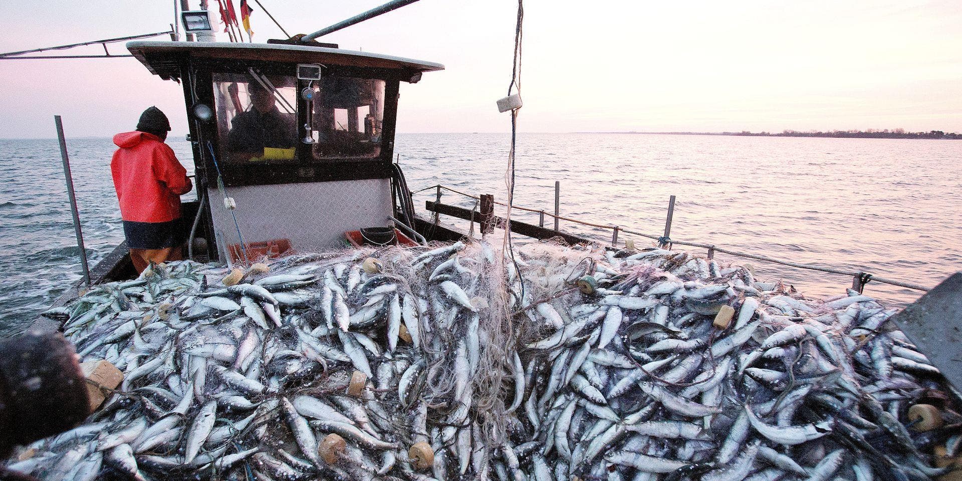 La Russie envisage de prolonger l’accord de pêche maritime avec le Maroc