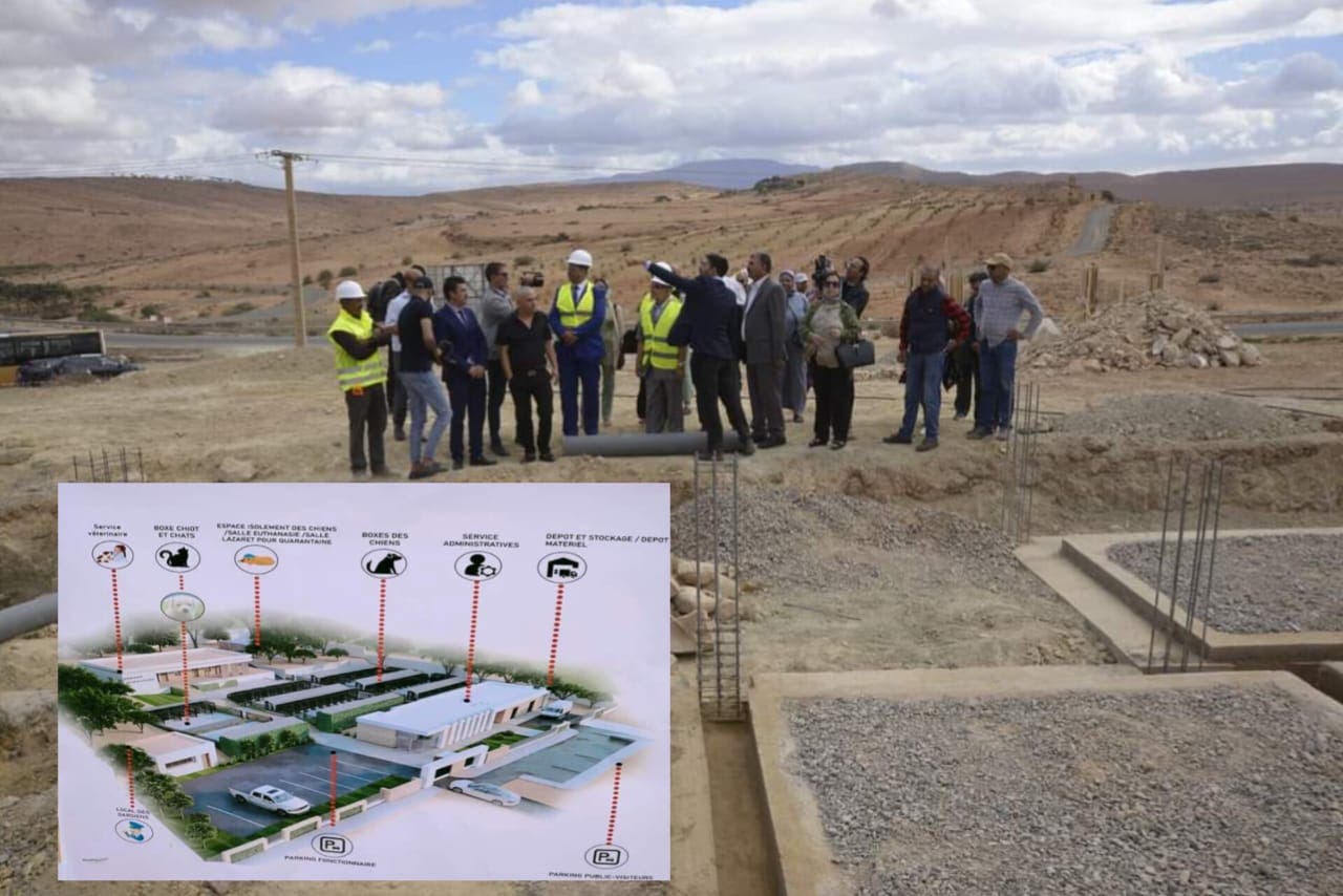 Oujda Angad.. Début des travaux de construction d’une réserve pour chiens et chats errants