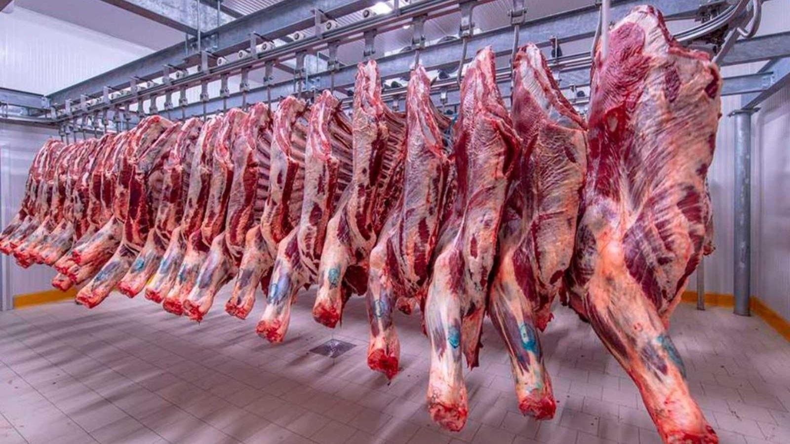 Paytas : Les mesures du gouvernement pour faire face à la hausse des prix de la viande rouge « ont donné des résultats »