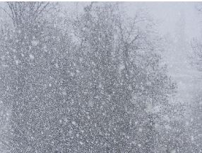 Météo: Flocons de neige