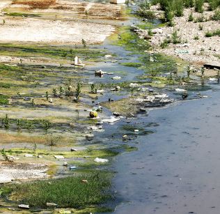 L’Europe tire la sonnette d’alarme: L’eau est en danger. Le comment et le pourquoi!