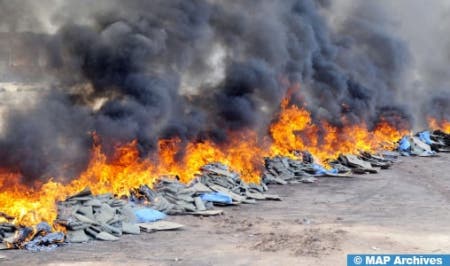 Safi : Brûlage de plus de 8 tonnes de shera et autres substances stupéfiantes