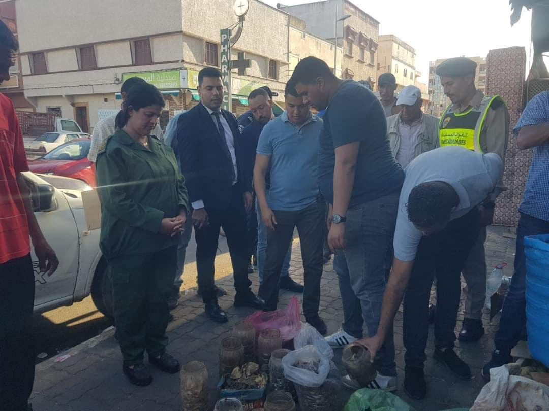 Sidi Bennour.. Un « charlatan » a été arrêté et des peaux de serpents et des têtes d’ânes et de chiens ont été saisies