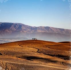 VW TRAIL DESERT AGAFAY: une aventure extraordinaire au cœur de agafay