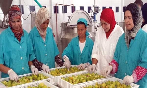 Tétouan accueille les activités du sixième forum régional des coopératives agricoles féminines