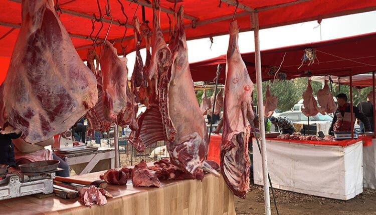 L’arrivée des cargaisons importées fait baisser les prix de la viande rouge à Casablanca