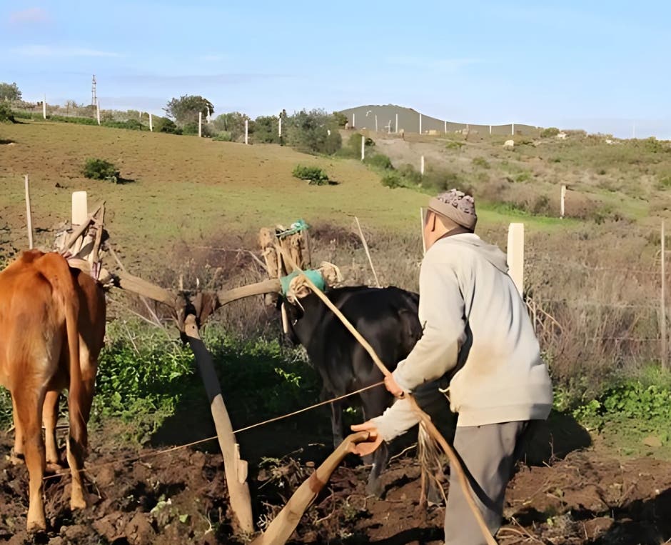 Le soutien et les subventions différés aux agriculteurs de Pullman atteignent le dôme du Parlement