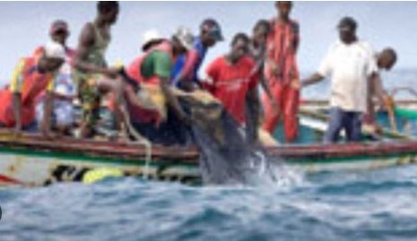 Il n’y a pas que le Maroc qui interrompt la pêche européenne, le sénégal aussi. Les raisons