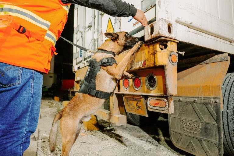 Un mineur marocain retrouvé caché sous un camion dans le port d’Algésiras