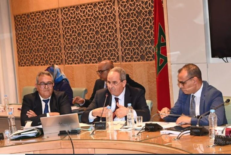 M. Azzedine EL MIDAOUI, participe à la discussion du projet du budget sectoriel du Ministère au titre de l'année budgétaire 2025 à la Chambre des Représentants.