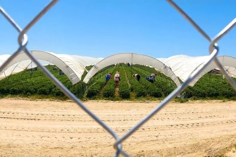 12 travailleurs migrants ont été blessés à Almeria, en Espagne, après avoir été renversés par une voiture