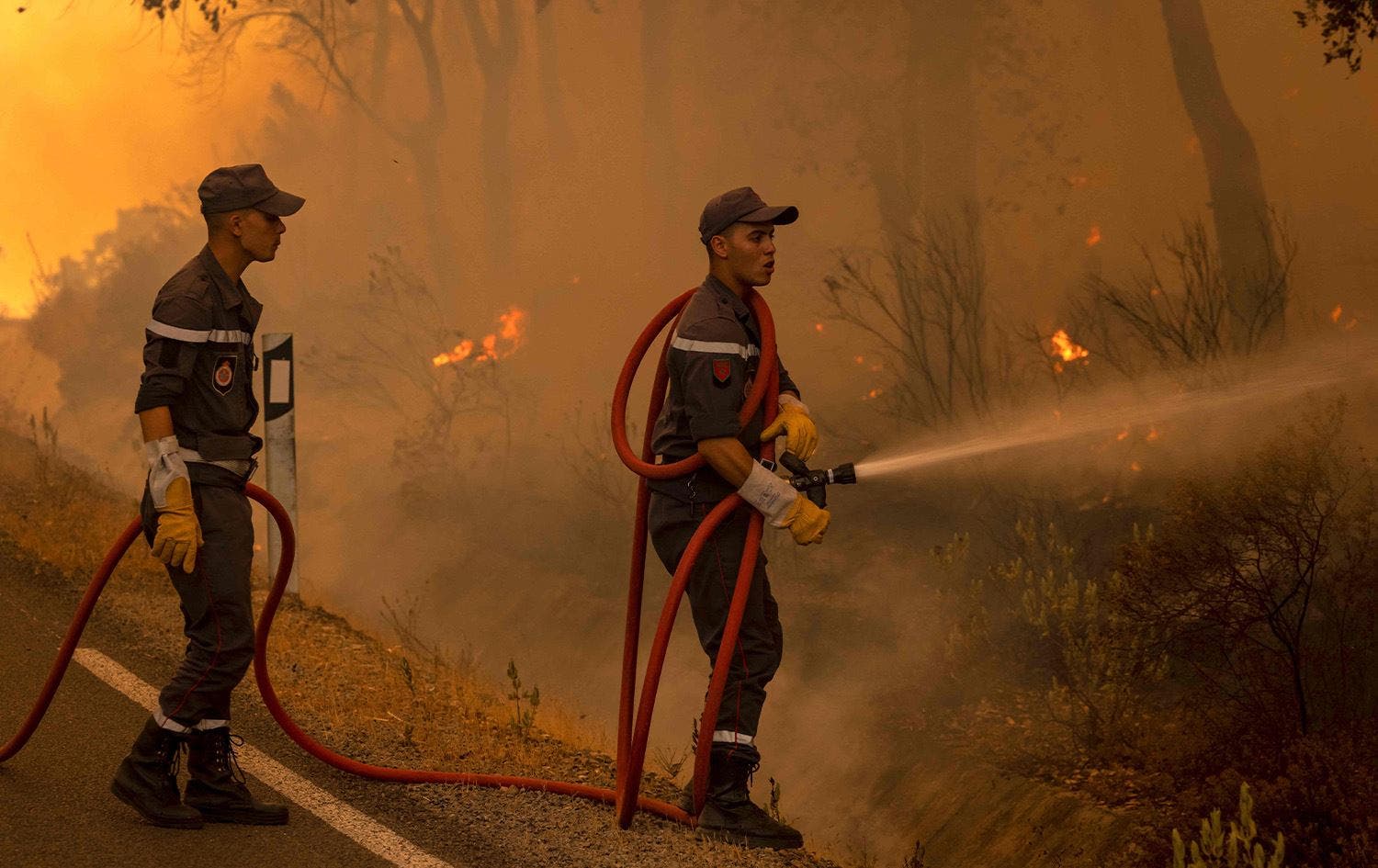 La stratégie du Maroc en matière de lutte contre les incendies de forêts… Défis et perspectives